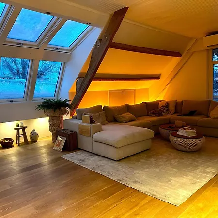 Modern Loft At The Heart Of Museum District With Free Bikes Or Audi Up Request Appartamento