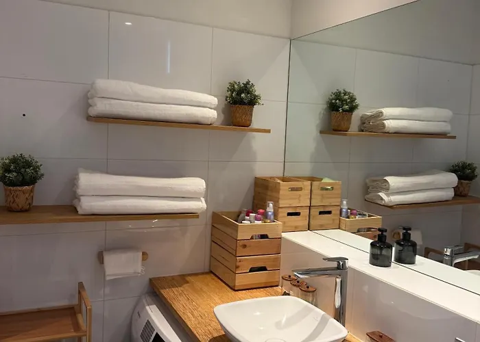 Modern Loft At The Heart Of Museum District With Free Bikes Or Audi Up Request